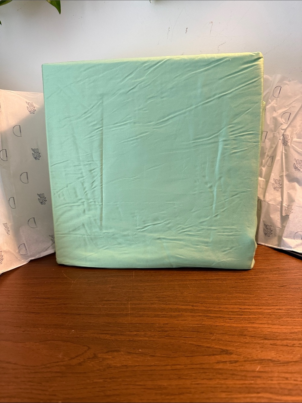 Soft Cotton Fitted Sheet Set - Sage Green